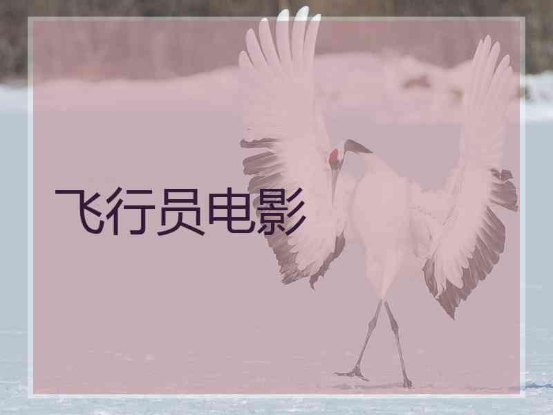 飞行员电影