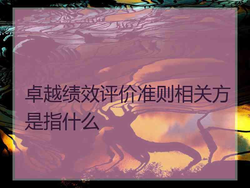 卓越绩效评价准则相关方是指什么