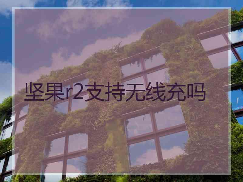 坚果r2支持无线充吗