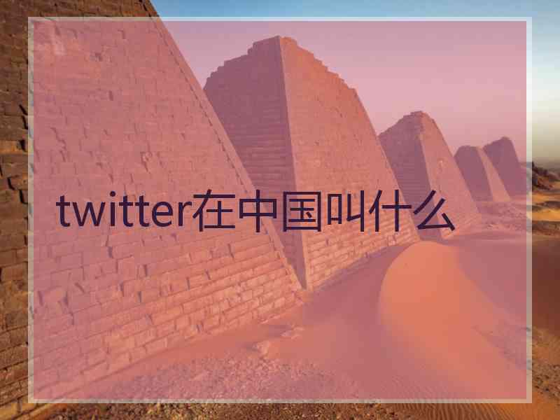twitter在中国叫什么