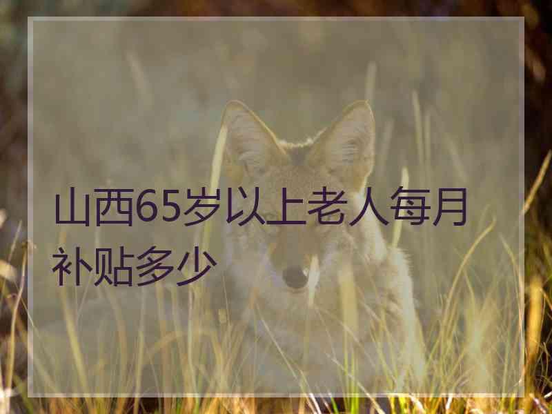 山西65岁以上老人每月补贴多少