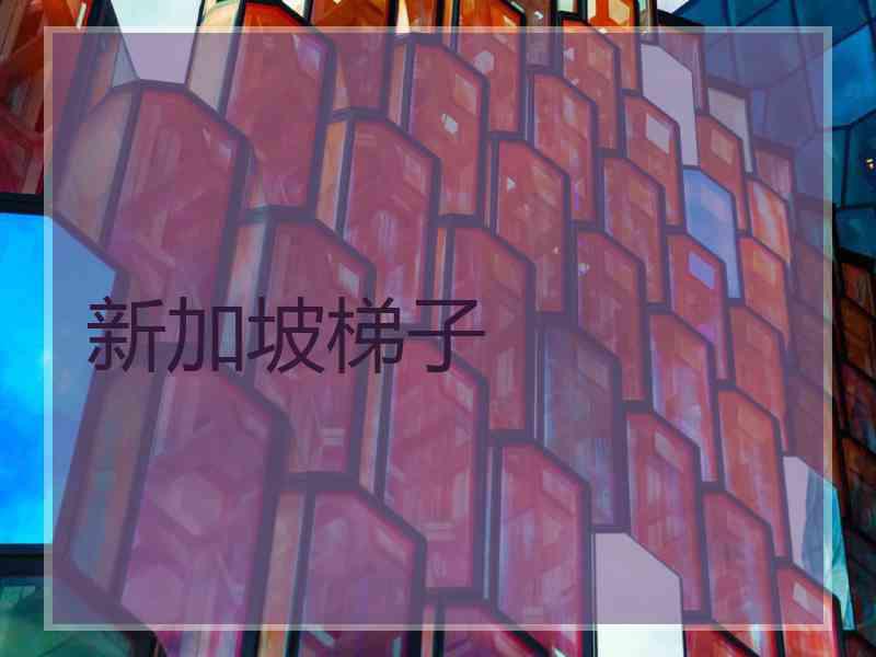 新加坡梯子