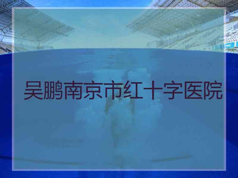 吴鹏南京市红十字医院
