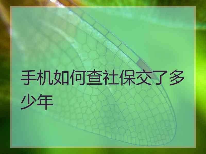 手机如何查社保交了多少年