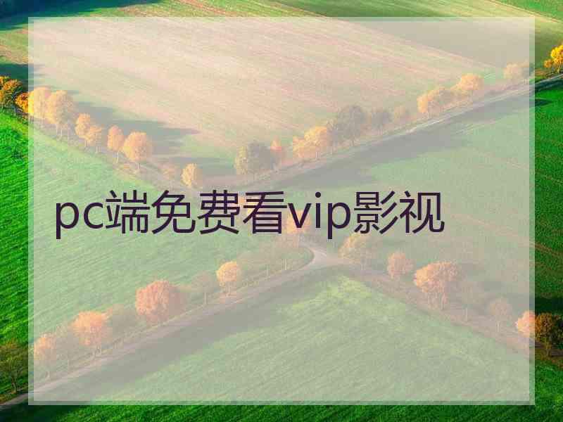 pc端免费看vip影视