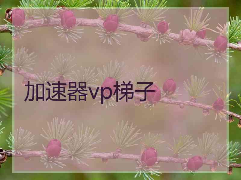 加速器vp梯子