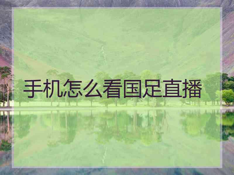 手机怎么看国足直播