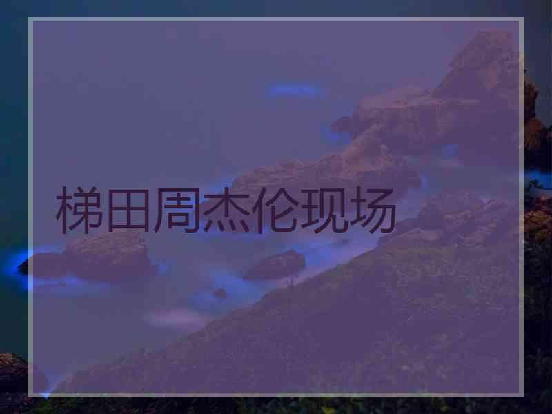 梯田周杰伦现场