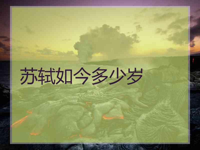 苏轼如今多少岁