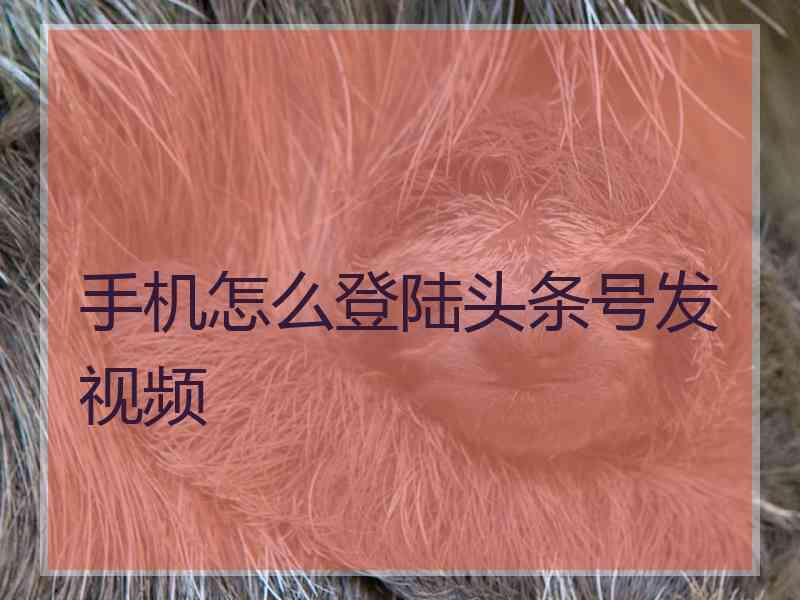 手机怎么登陆头条号发视频