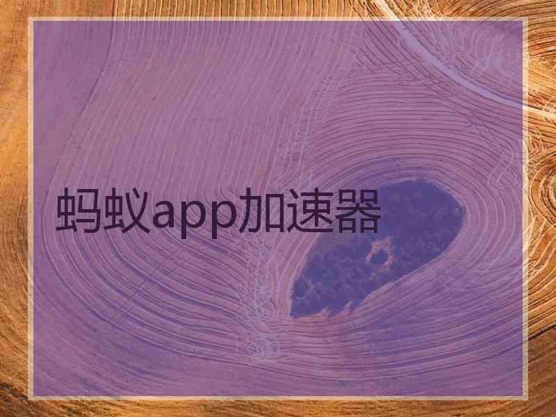 蚂蚁app加速器