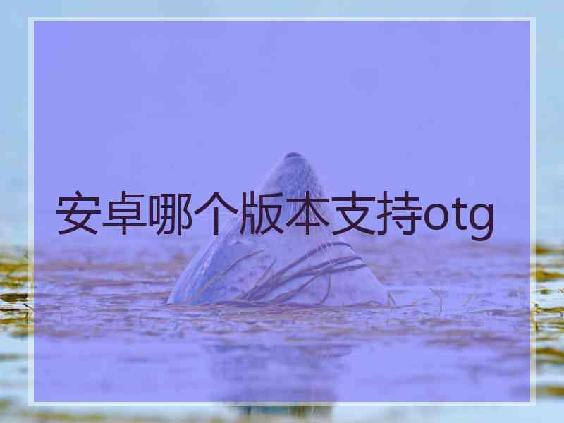 安卓哪个版本支持otg