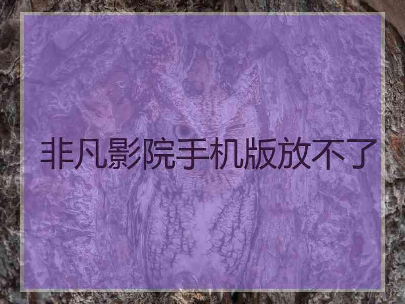 非凡影院手机版放不了