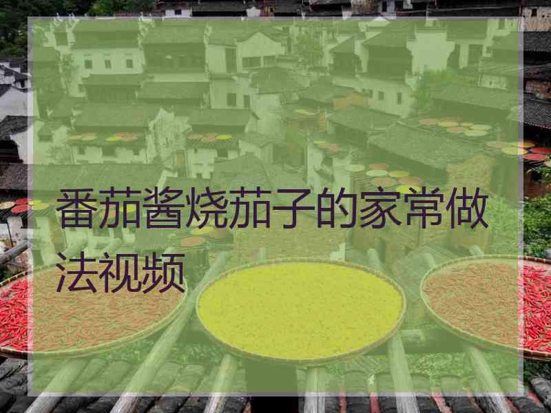 番茄酱烧茄子的家常做法视频