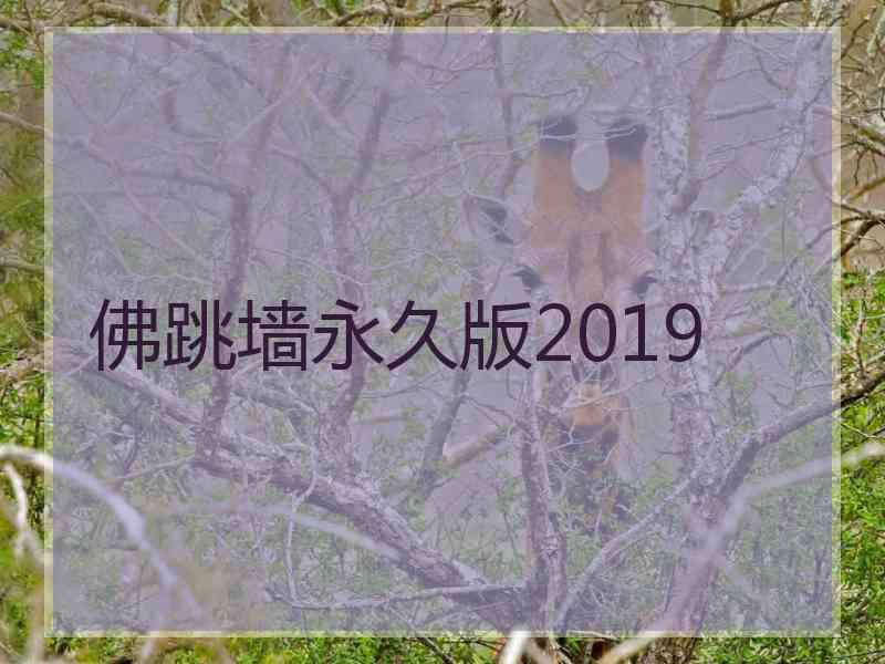 佛跳墙永久版2019
