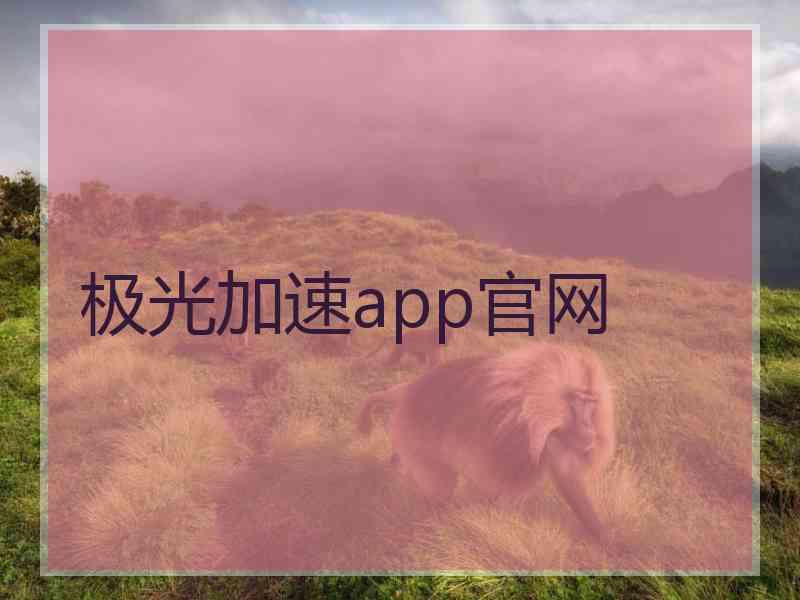 极光加速app官网