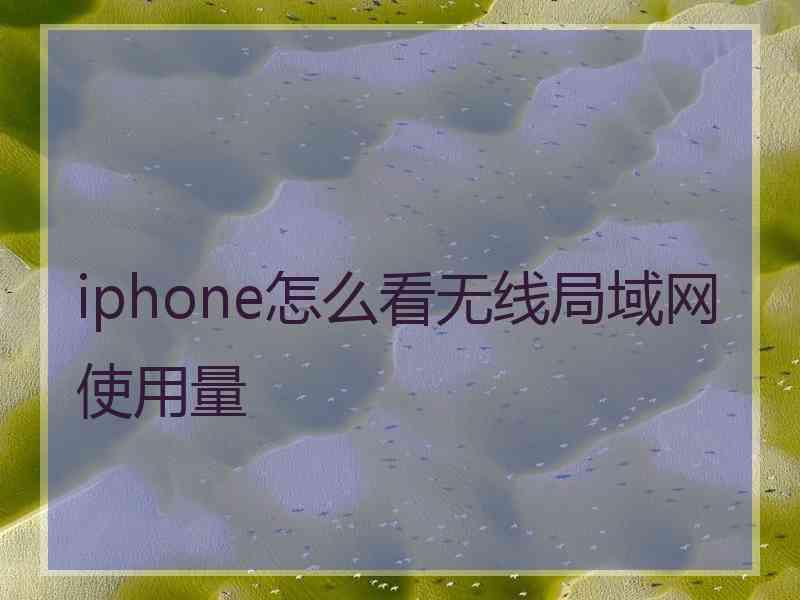 iphone怎么看无线局域网使用量
