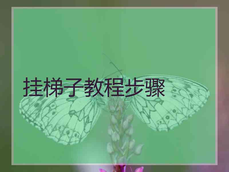 挂梯子教程步骤