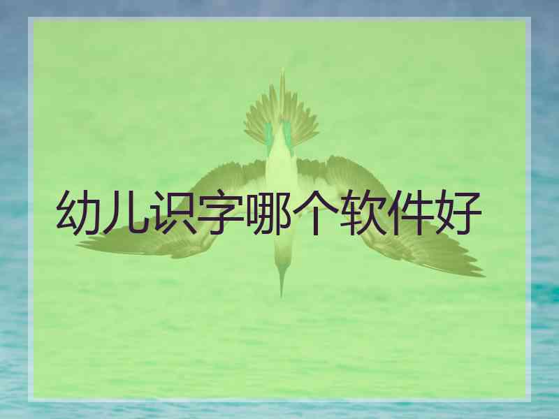 幼儿识字哪个软件好