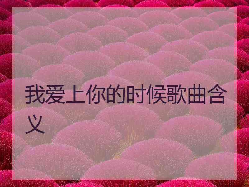 我爱上你的时候歌曲含义