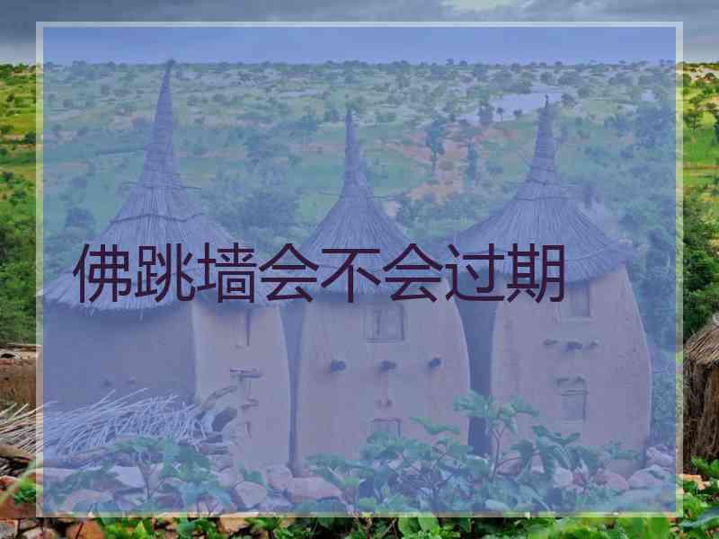 佛跳墙会不会过期