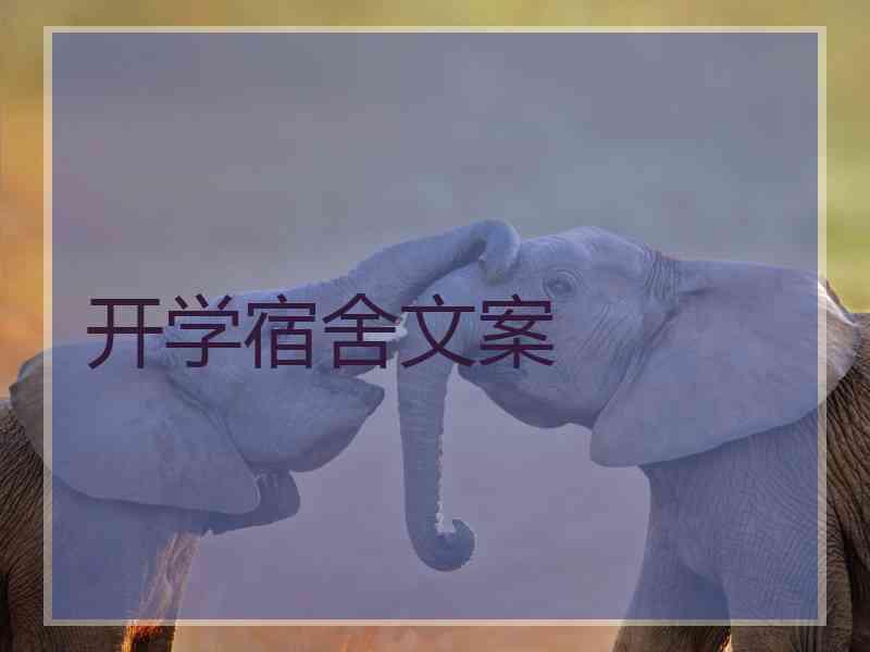 开学宿舍文案