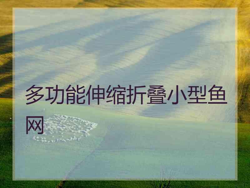 多功能伸缩折叠小型鱼网