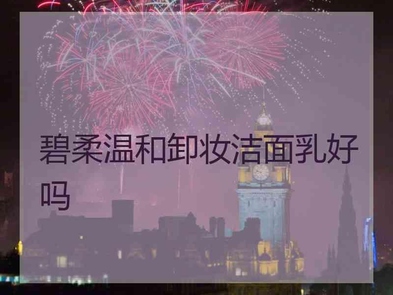 碧柔温和卸妆洁面乳好吗