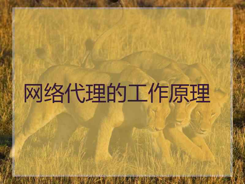 网络代理的工作原理