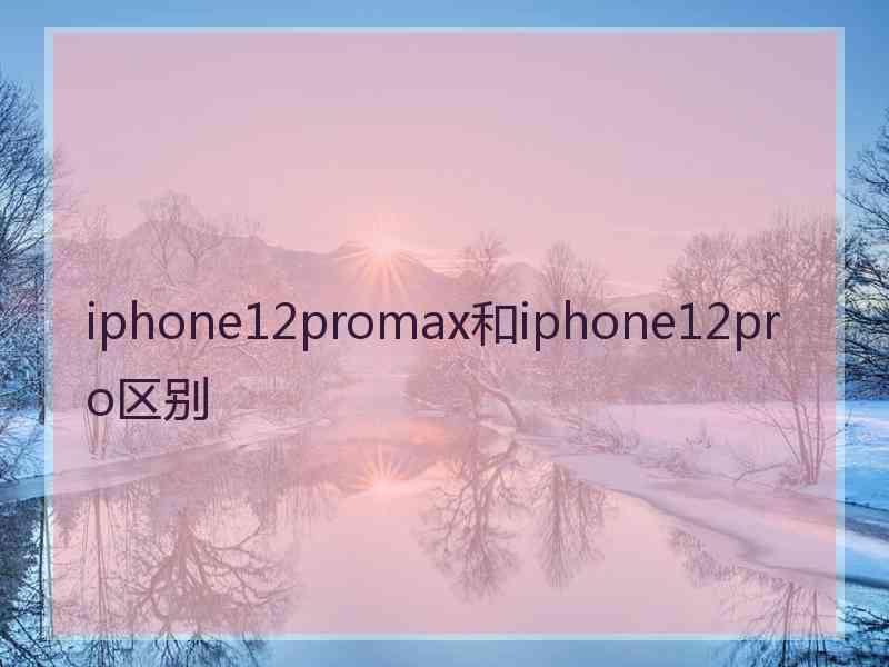 iphone12promax和iphone12pro区别