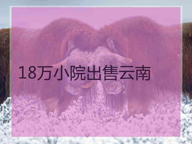 18万小院出售云南