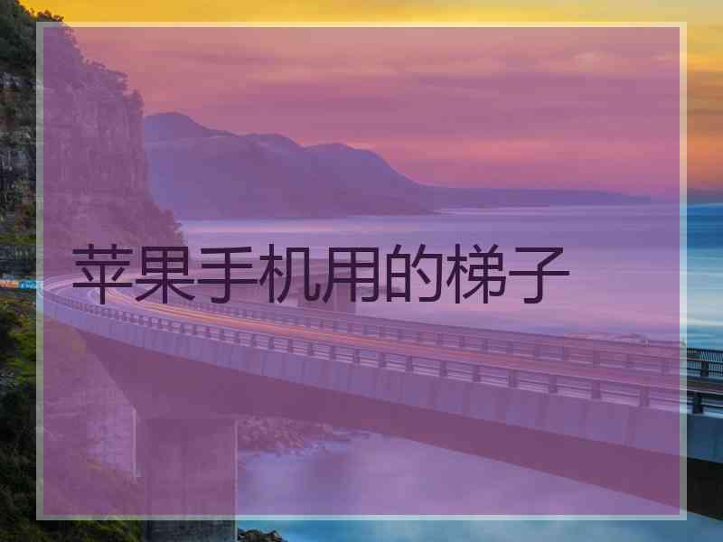 苹果手机用的梯子