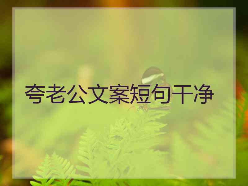 夸老公文案短句干净