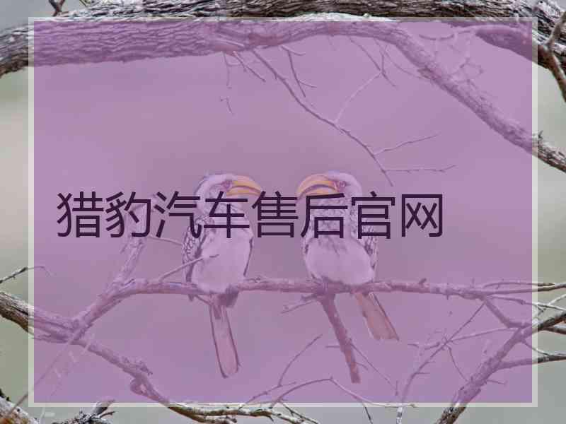 猎豹汽车售后官网