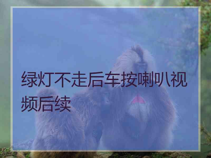 绿灯不走后车按喇叭视频后续