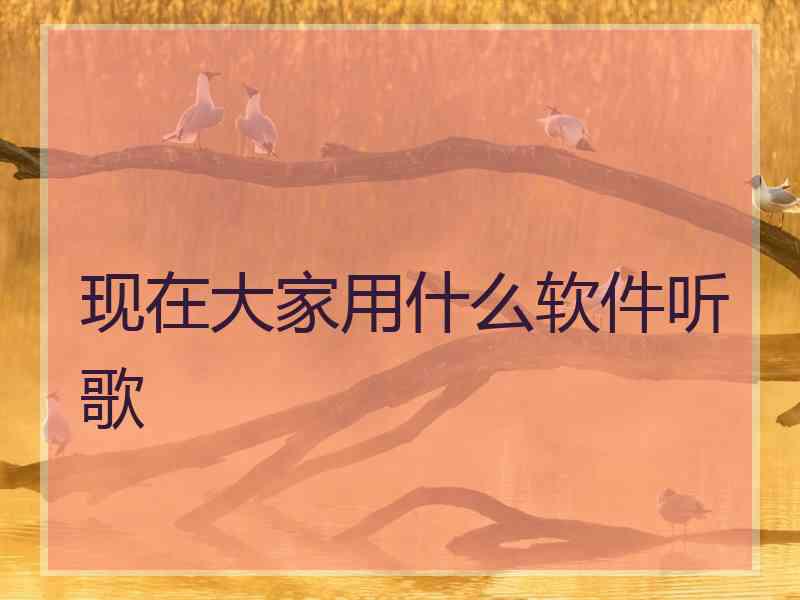 现在大家用什么软件听歌