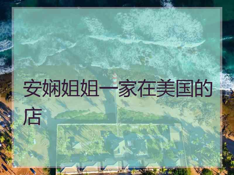 安娴姐姐一家在美国的店