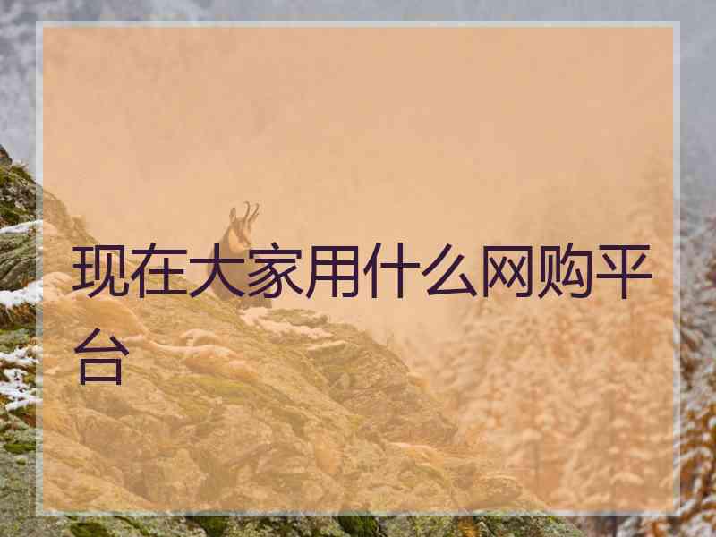 现在大家用什么网购平台