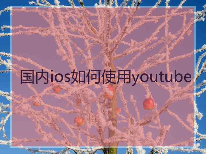 国内ios如何使用youtube