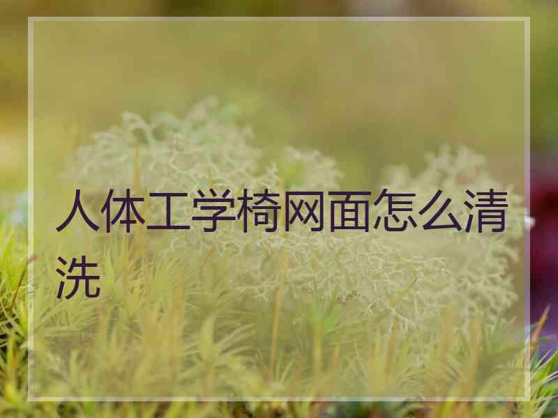人体工学椅网面怎么清洗