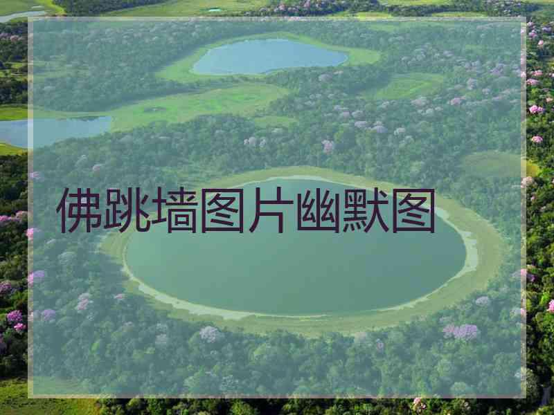 佛跳墙图片幽默图