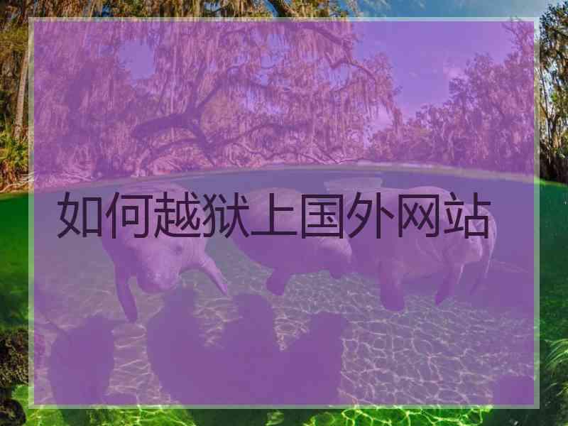 如何越狱上国外网站
