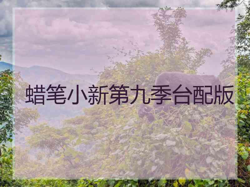 蜡笔小新第九季台配版