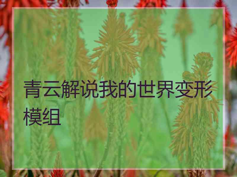 青云解说我的世界变形模组