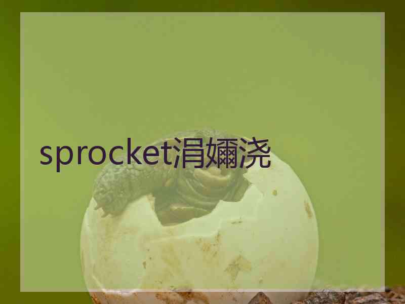 sprocket涓嬭浇