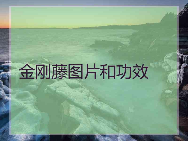 金刚藤图片和功效