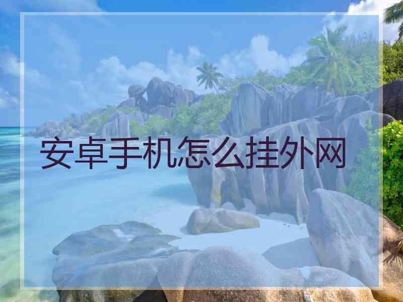 安卓手机怎么挂外网