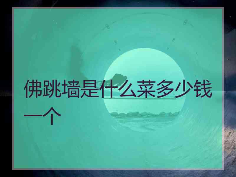 佛跳墙是什么菜多少钱一个