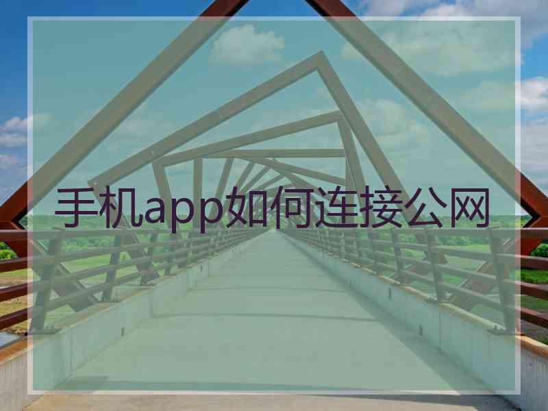 手机app如何连接公网