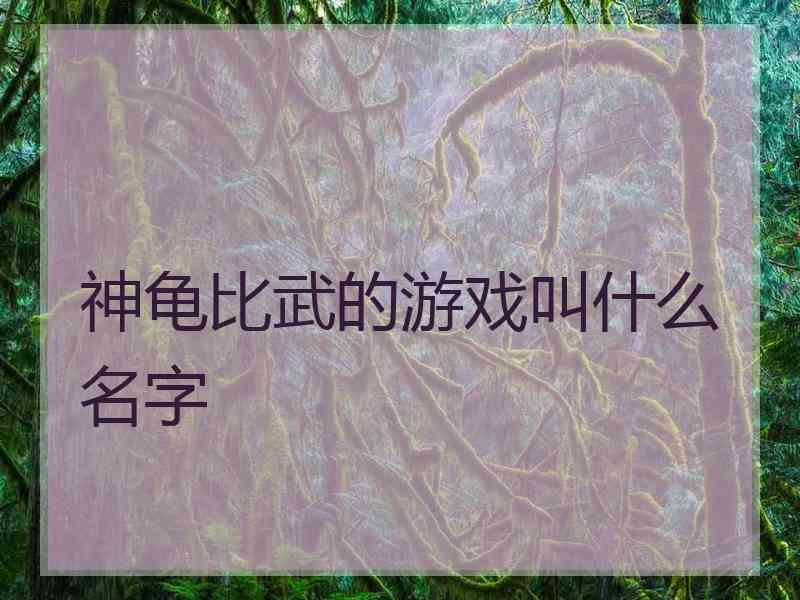 神龟比武的游戏叫什么名字